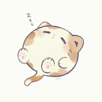 Fin_Hệ thống