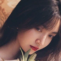 Đồ Hinh Mi