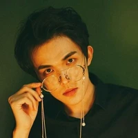 Lục Tử Đình - Lục lão gia