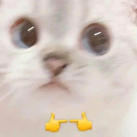 Con t/g kute nhất hệ Mặt Trời=))