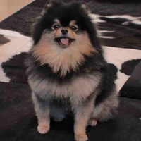 Kim YeonTan 