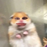 Tác Giả êu Độc Giả lém 😏