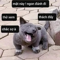 con tác giả vừa ngu vừa hãm lồn ( FBI)