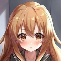 Y/N