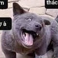 Bác Sĩ Ẻ Trãi=))