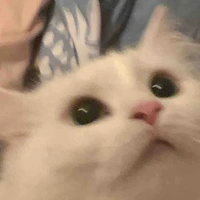 All