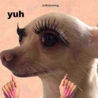 Đoán xem:>