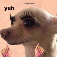 Đoán xem:>