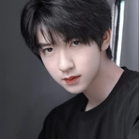 Hạ Tuấn Lâm