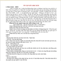 Quỷ tổng hợp