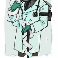 WHO(Bộ giáo dục y tế)