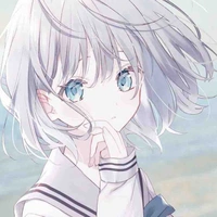 Y/N