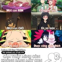 Cô giáo