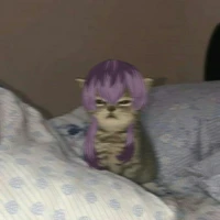 T/G