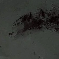 Bản Năng Hắc Ám