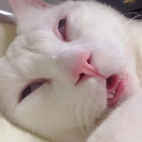 All