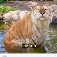 Bà tác giả nè