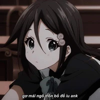 Y/n