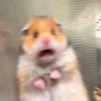 Chuỵ nhân viên xunh xễu😩🤟🏻