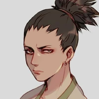 Nara Shikamaru(Nhị sư huynh)