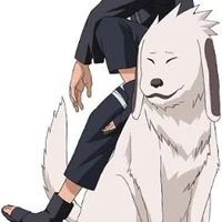 Akamaru