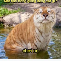 Bà tác giả nè