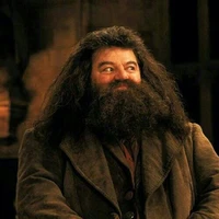 Bác Hagrid
