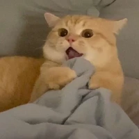 T/g