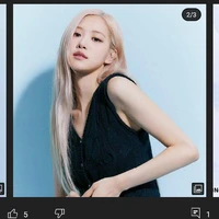 Park Chaeyoung  ( cô )