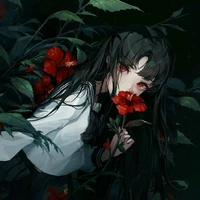 Iris De Lilysions