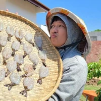 Trường Giang