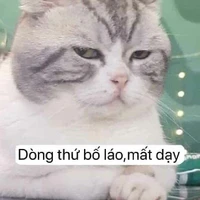 ông trời