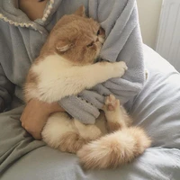 Tác giả của những câu chuyện xàm lông.