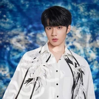 Lưu Diệu Văn(anh)