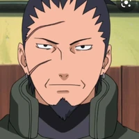nara shikaku