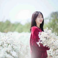 Hàn Linh Lam