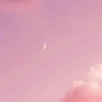 Mấy bạn nữ/gái