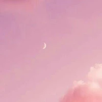 Mấy bạn nữ/gái