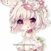 Kachi