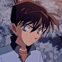 Con vịt si tình:(