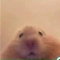 Shu