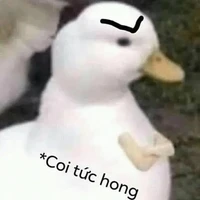 Tác giả (Thỏ Trắng)
