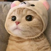 Sunny (Quýt) 아미