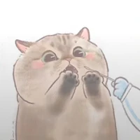 tác giả