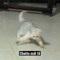 Zannnnn