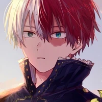 Todoroki Shoto (Shoto)