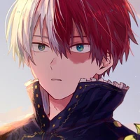 Todoroki Shoto (Shoto)