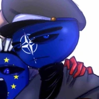 North Atlantic Treaty Organization ( NATO )