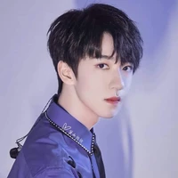 Hạ Tuấn Lâm