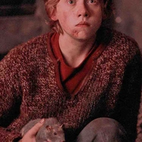 Ronald Weasley 